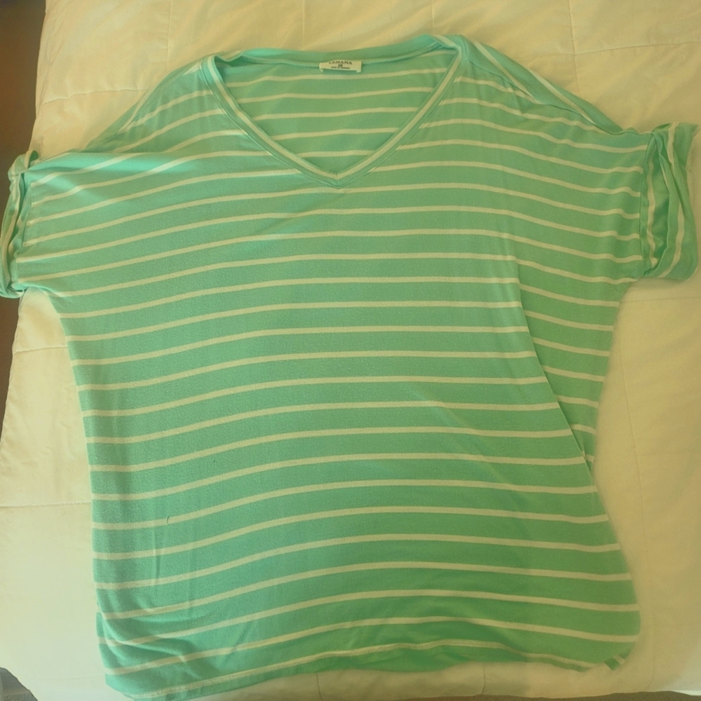 Plus Zenana top